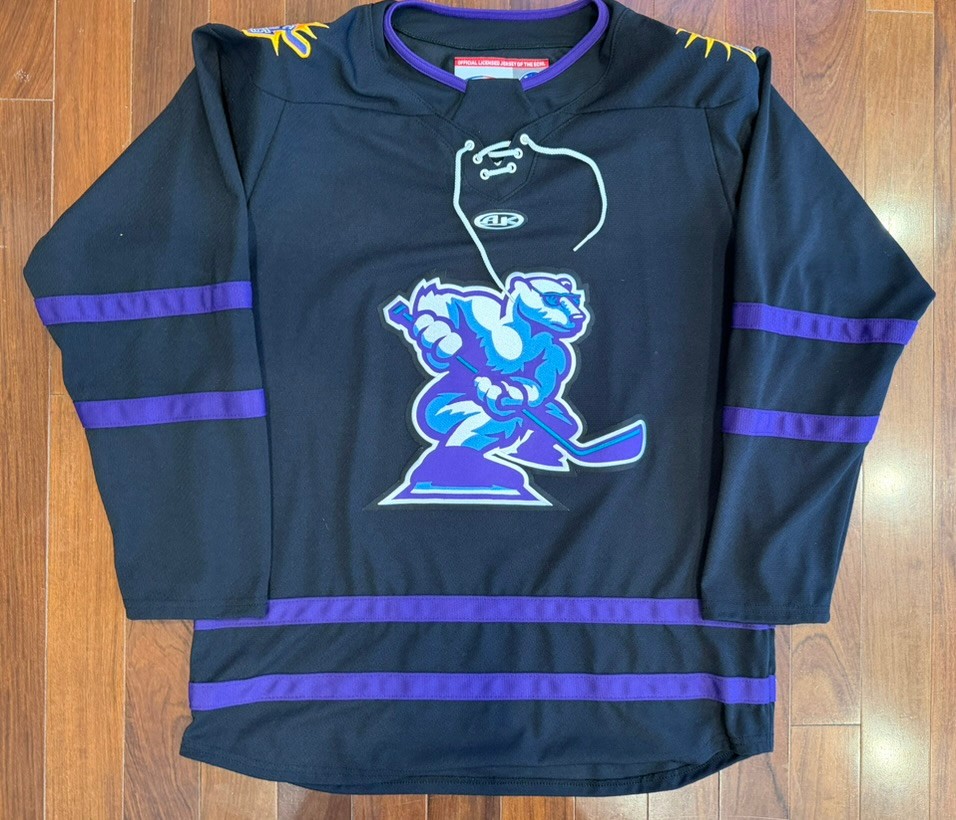 Orlando Solar Bears Alternate ECHL Minor League Hockey Jersey - Athletic Knit L Orlando Solar Bears Alternate ECHL Minor League Hockey Jersey - Athletic Knit L