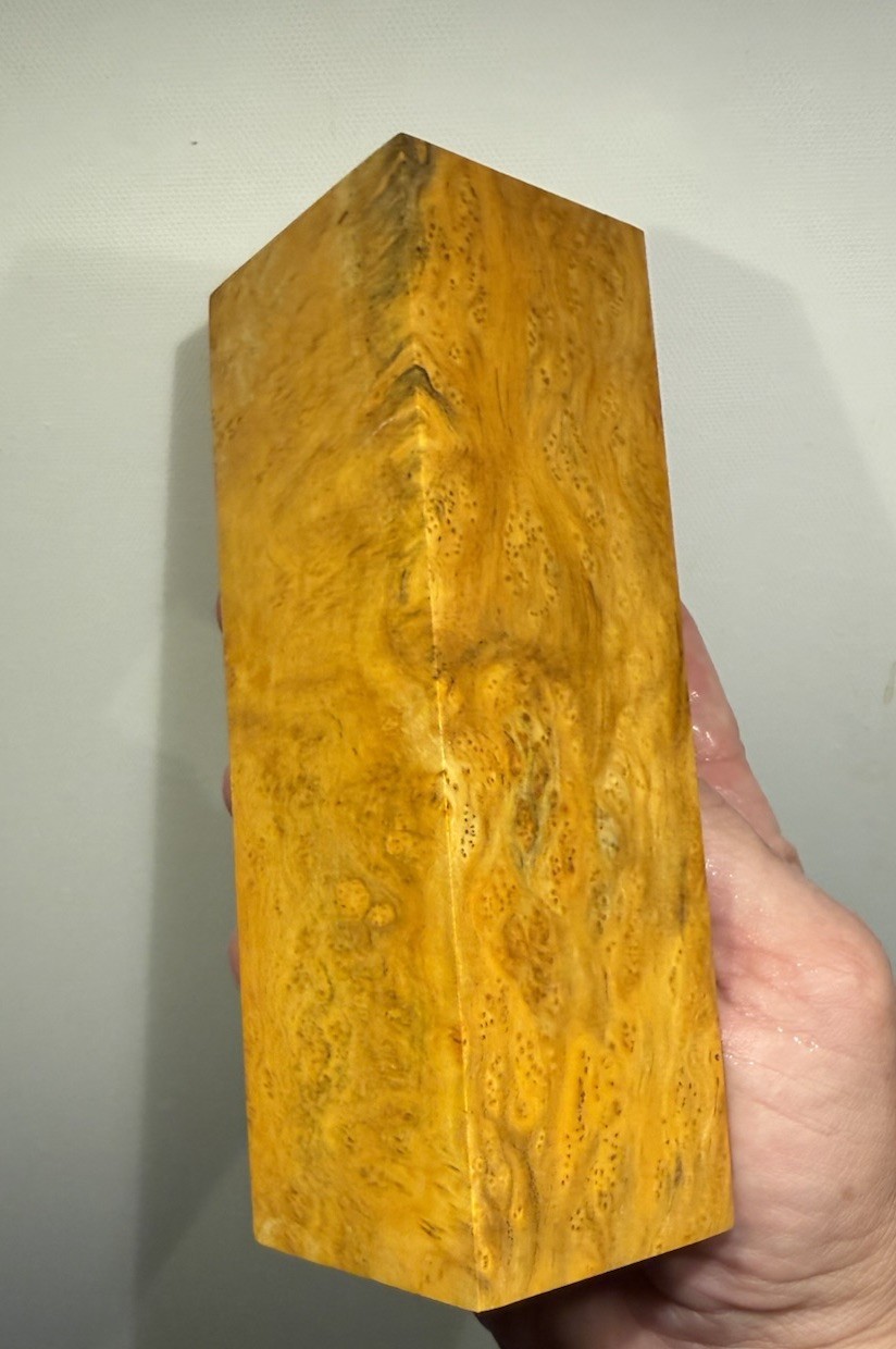 Stabilized K&G  Cheese wood  Burl Turning  Blank   5.95 x  1.95 x 2     (191)