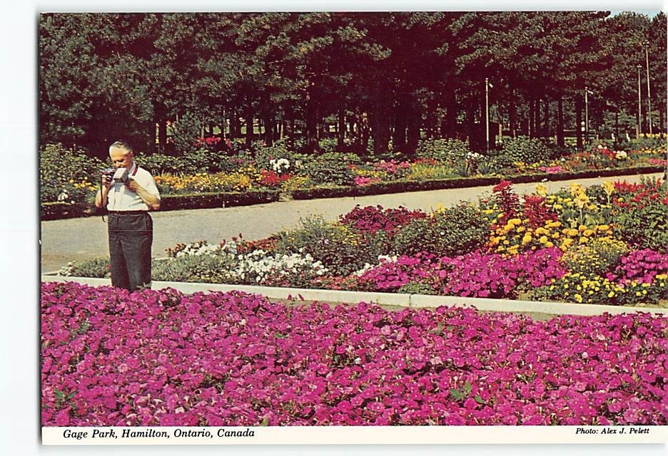 Postcard Gage Park Hamilton Ontario Canada