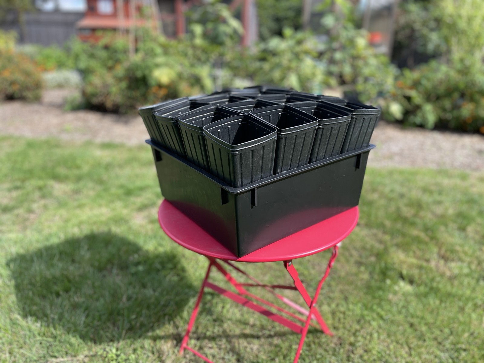 Treepot Tray and (16) 4\