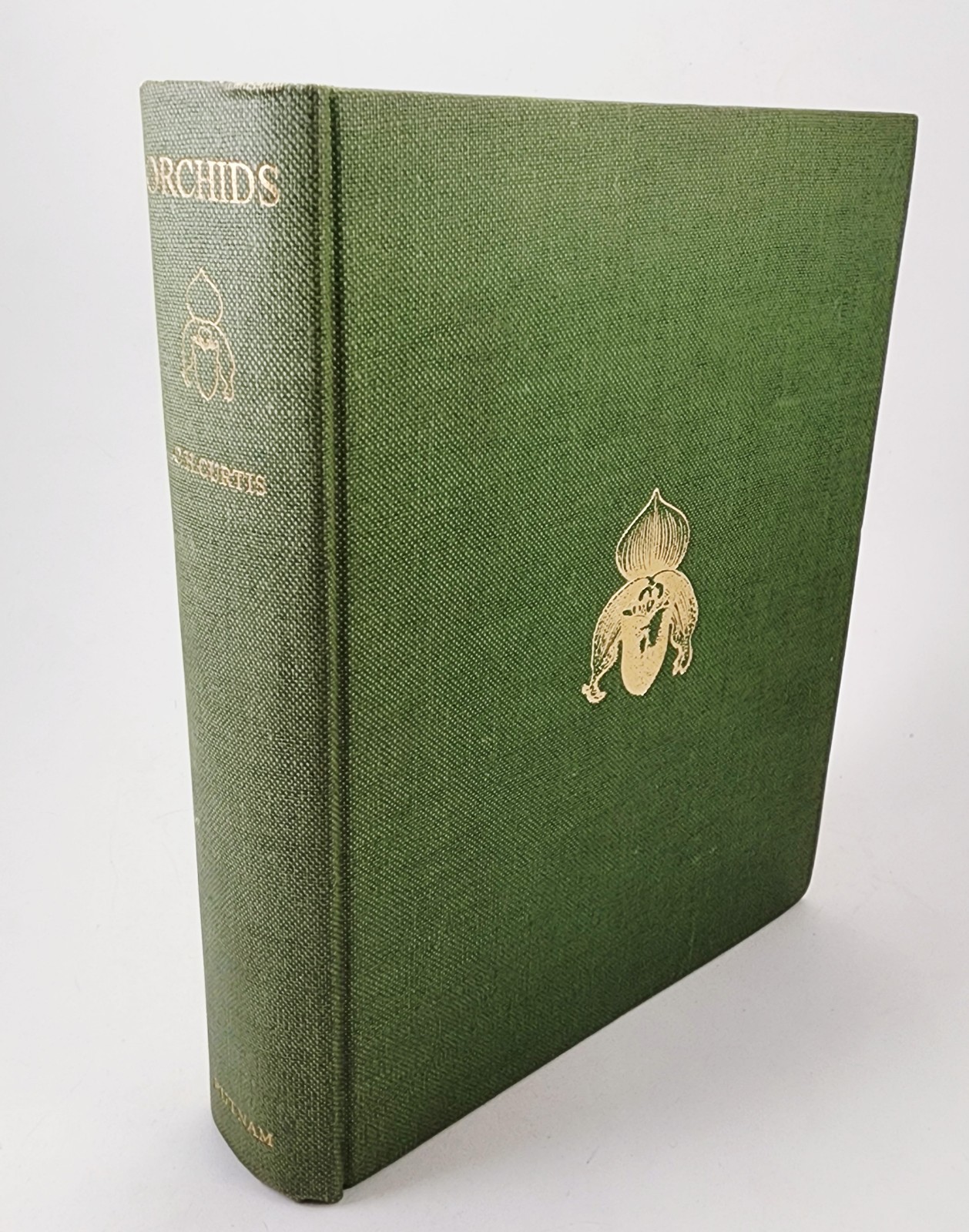 Orchids Their Description and Cultivation Curtis Charles Vtg Botany 1st Edition