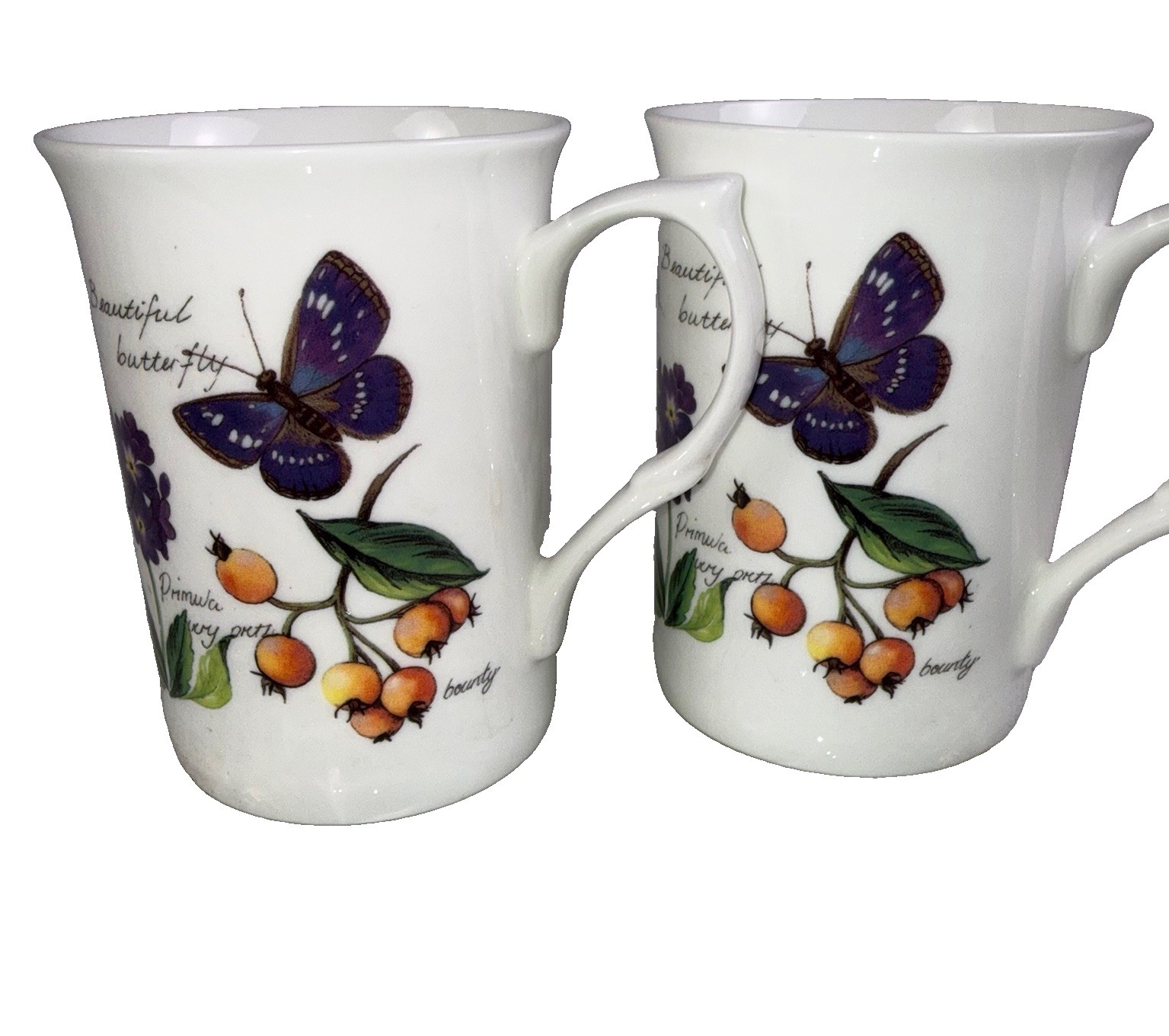 2 Rose of England Butterfly Flowers Garden Wren Fine Bone China Coffee Tea Cup