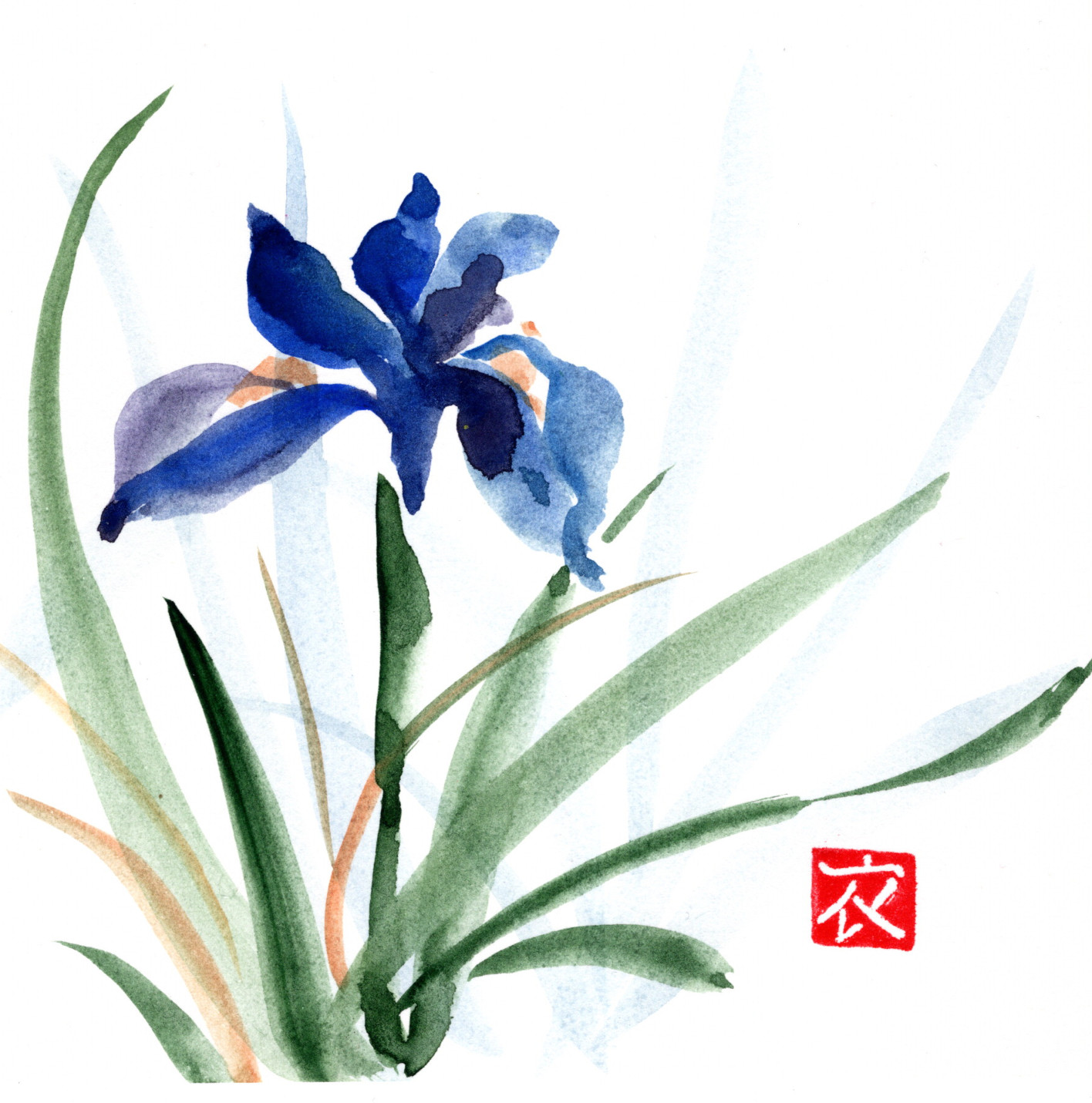 Original sumi e painting on paper, IRIS, 6\
