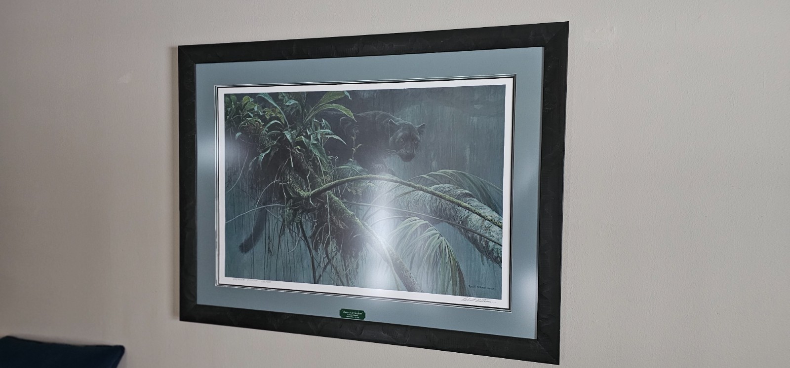 Robert Bateman Framed Panther Blk Shadows Rainforest Art Premier Edition 135/450