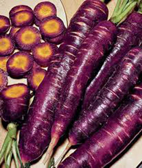 CARROT, PURPLE HAZE, HYBRID,  500+ SEEDS, UNUSUAL TASTY & SWEET, NON GMO