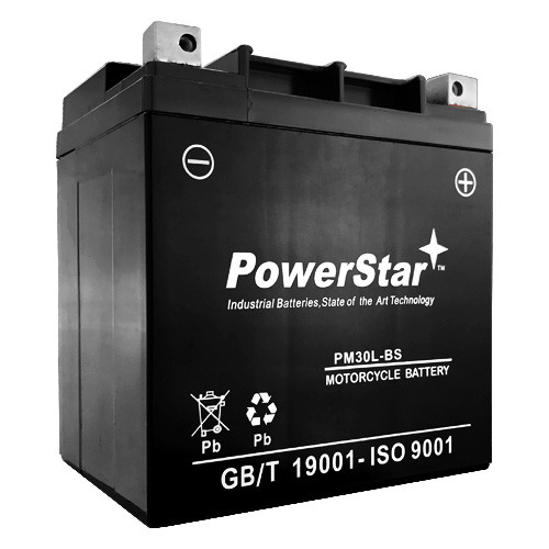 PowerStar Replacement for 2007 SPORTSMAN 500 EFI YTX30L-BS ATV Battery