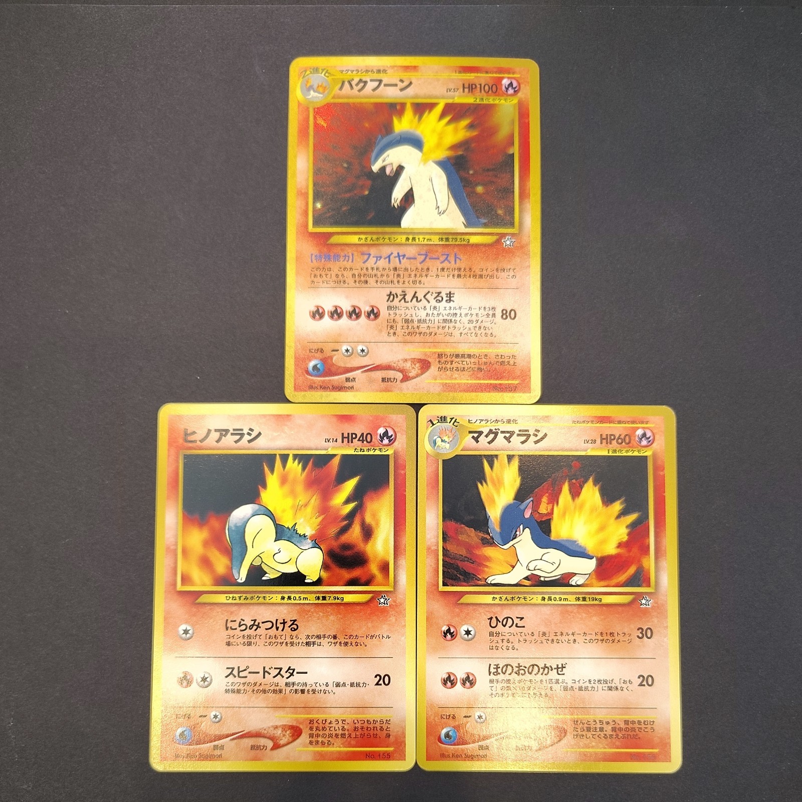 Typhlosion NO. 157 Holo Promo Neo Premium File 1 Pokemon Japanese Near Mint Typhlosion NO. 157 Holo Promo Neo Premium File 1 Pokemon Japanese Near Mint