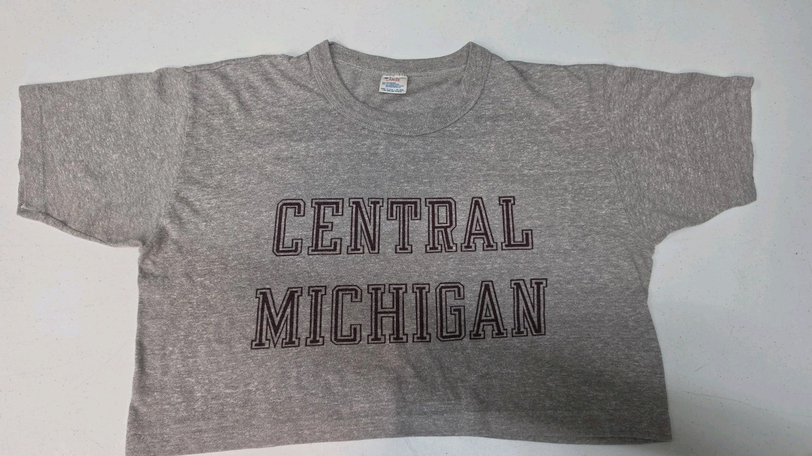 Vintage Champion Central Michigan University Gray T-Shirt Women Size L