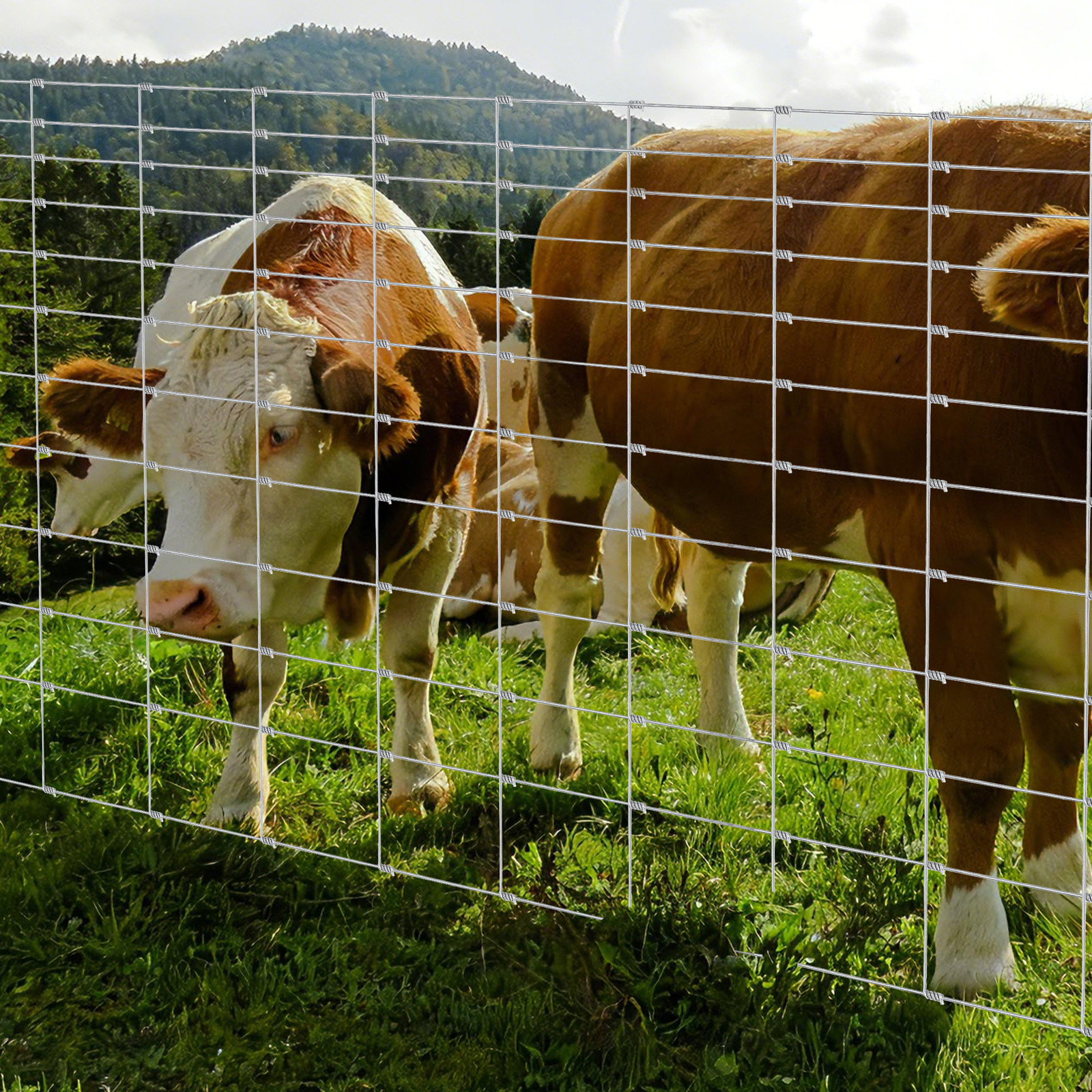 Galvanized Livestock Metal Mesh Panel –Knotted Fence Wire Fencing 6ftx328ft