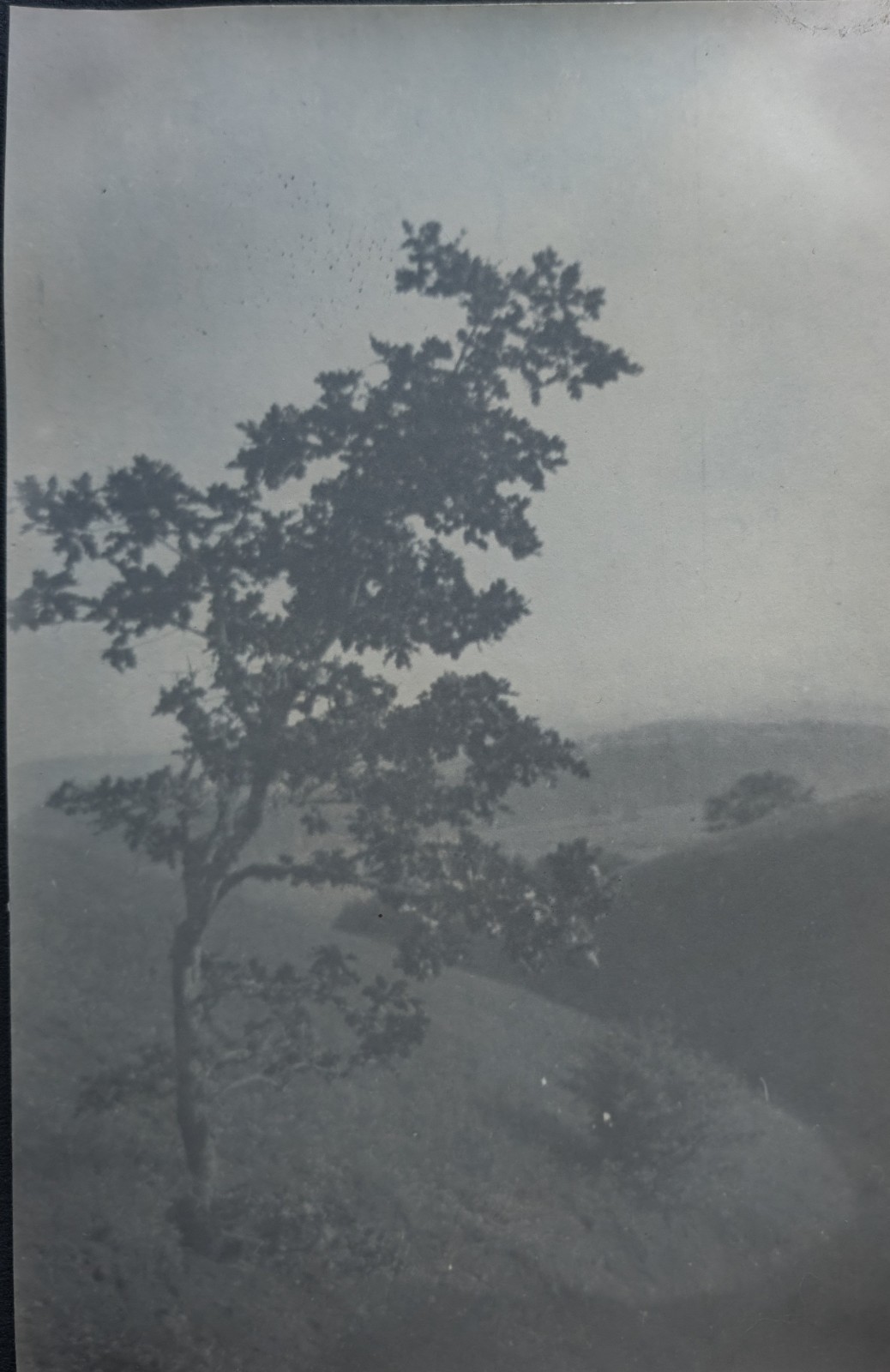 3 Antique Gelatin Silver Landscape Photos – Mist Trees Mountains c.1920s