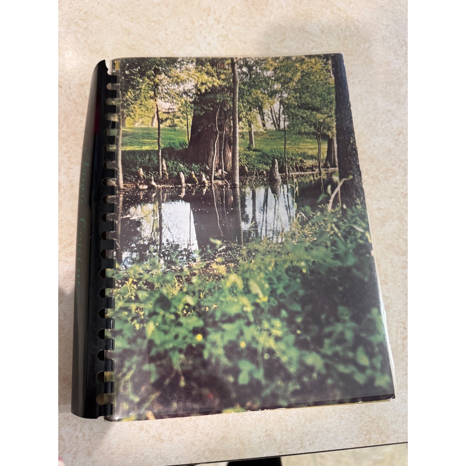 Bayou Cuisine Its Tradition and Transition Cookbook Mississippi Delta 1972 Bayou Cuisine Its Tradition and Transition Cookbook Mississippi Delta 1972