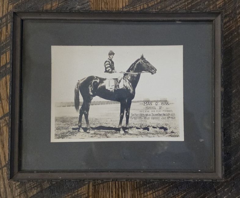 Original Antique C.C. Cook Photo - Man o\' War with 1920 American/Track Records