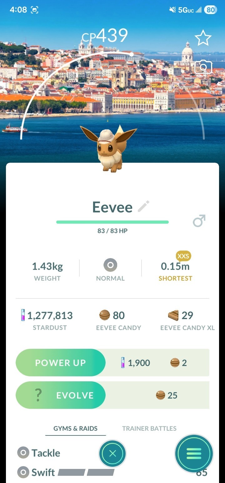 Pokemon Go Eevee Safari hat XXS Lisbon Portugal Background Male Non Shiny