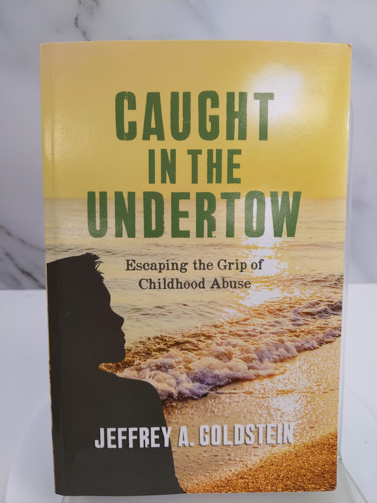 Caught in the Undertow by Goldstein, Jeff 2014  Paperback.