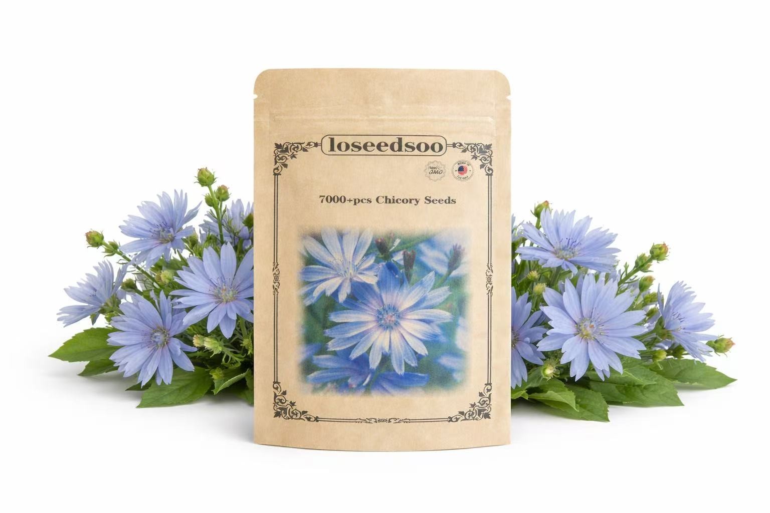 7000+ Chicory Seeds for Planting – Blue Wildflower Perennial Seeds, Hardy Cichor 7000+ Chicory Seeds for Planting – Blue Wildflower Perennial Seeds, Hardy Cichor