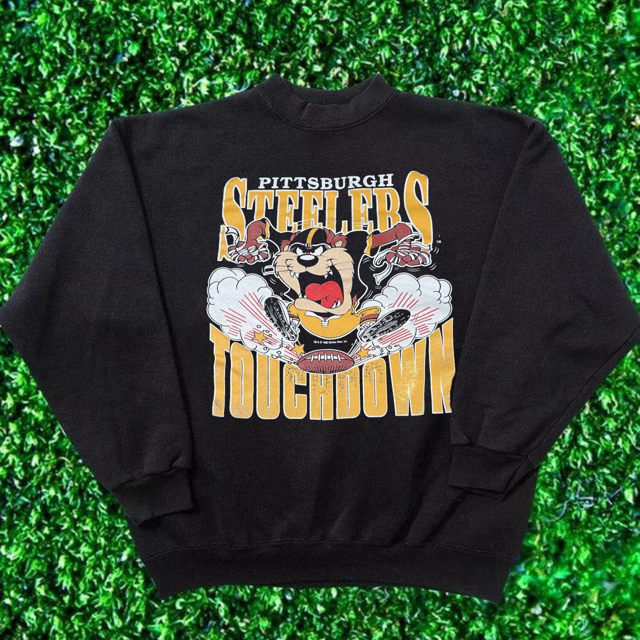 Pittsburgh Steelers Taz Looney Tunes retro black sweatshirt QT8848