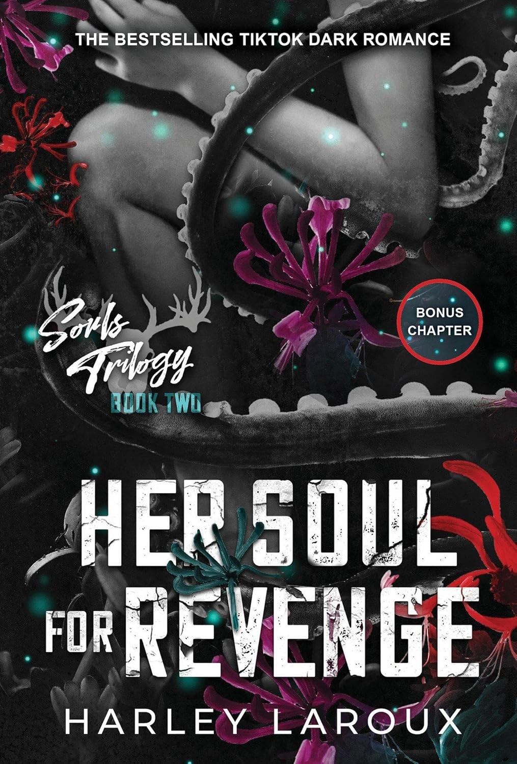 Her soul for revenge Paperback