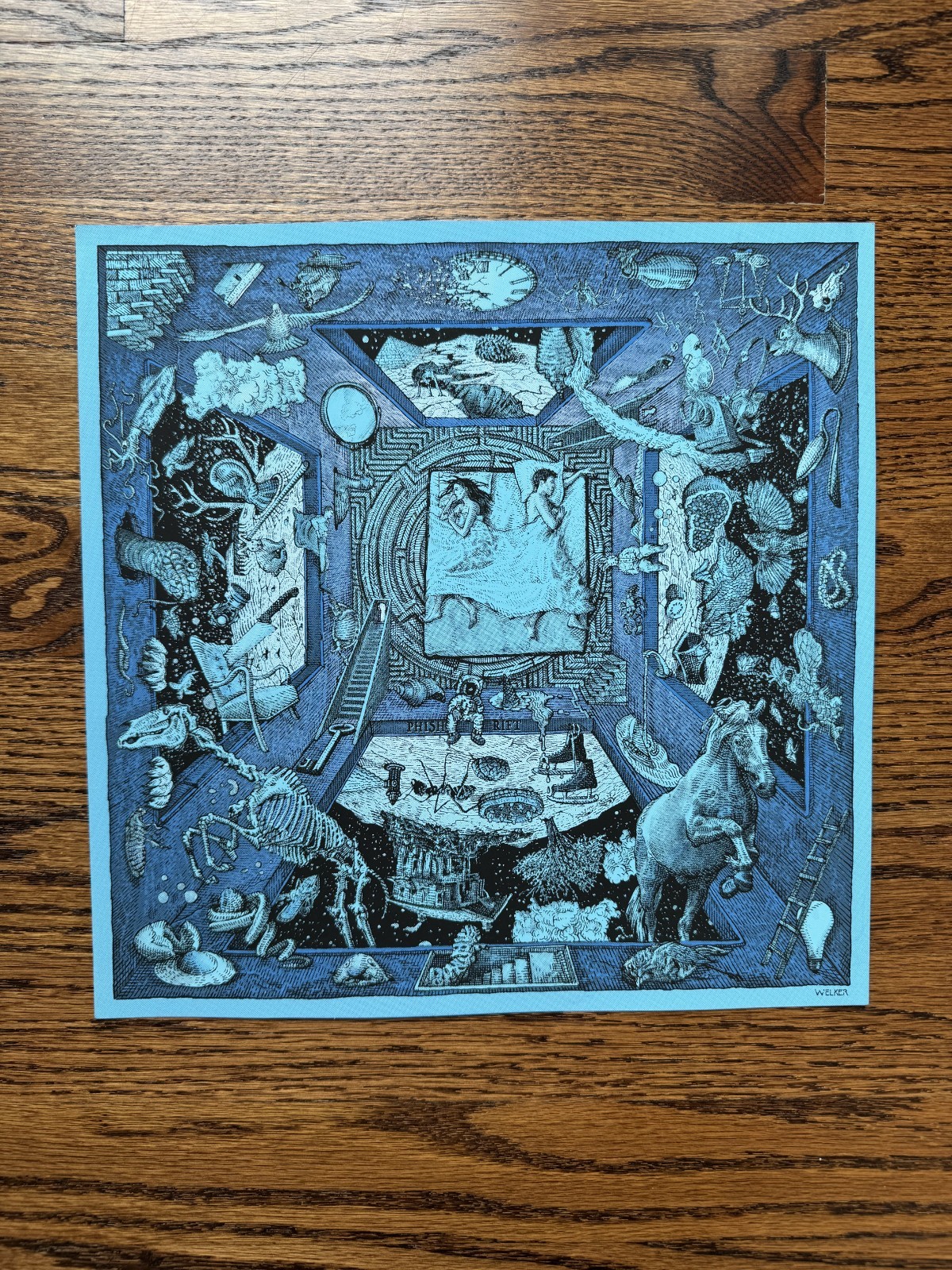 Phish: Approaching A Rift 2015 David Welker Screen Print 12x12 Magnaball Special