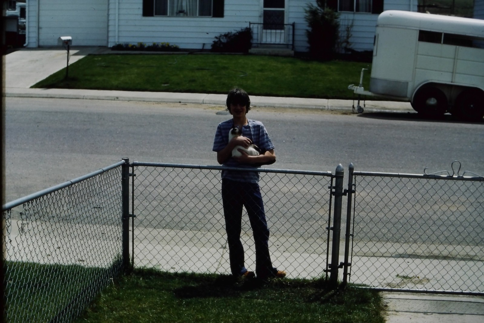 c1970\'s 35mm Slide, Person Holding Dog, Suburban Street Fence Horse Color Photo