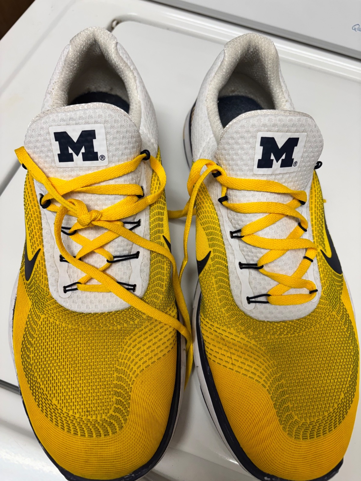 Nike shoes men 11.5 - Michigan Wolverines