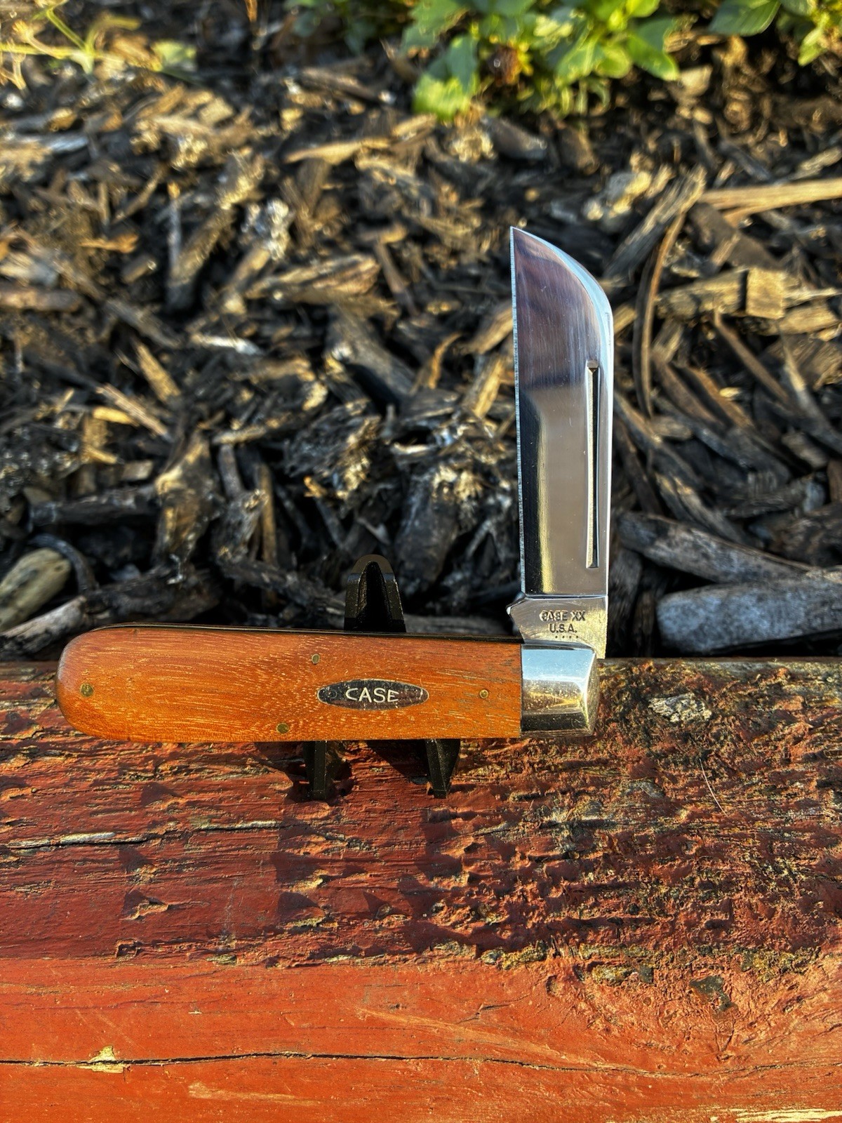 Vintage Case XX 4 Dot 1976 11031 SH Walnut Whaler Knife Super Nice Unused & Mint