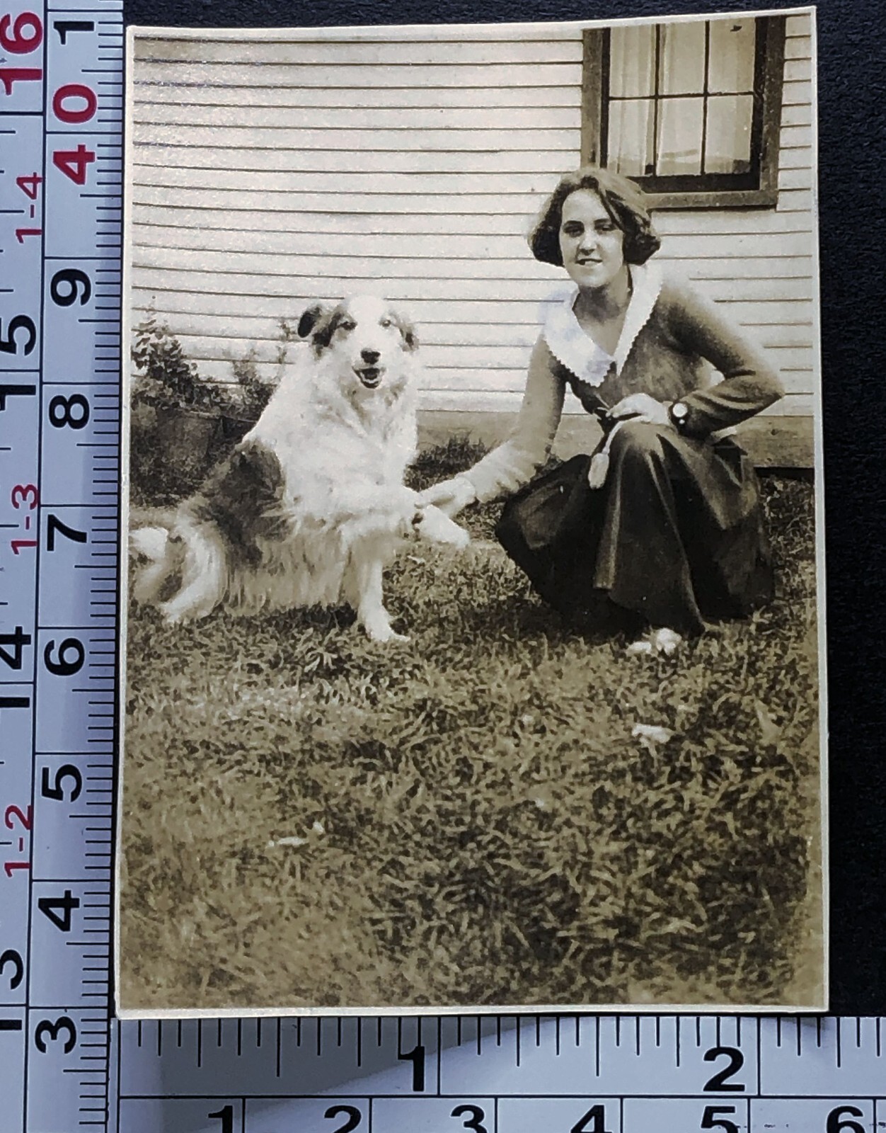 Dog Giving Paw to Young Woman Training Begging Vintage BW Photo Snapshot