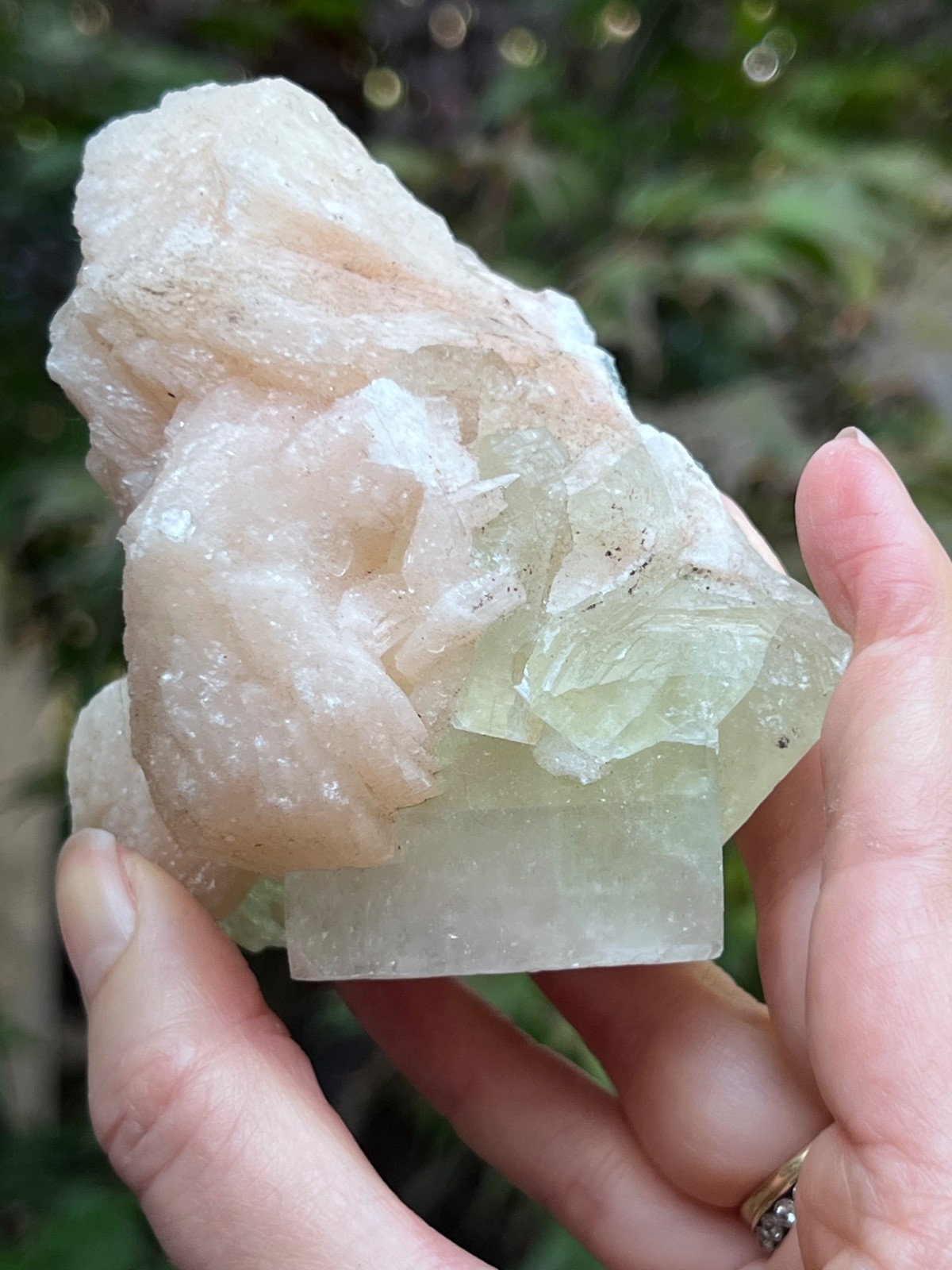 Green Large Cubic Apophyllite Peach Pink Stillbite Rare Cluster AAA+ B13 251g