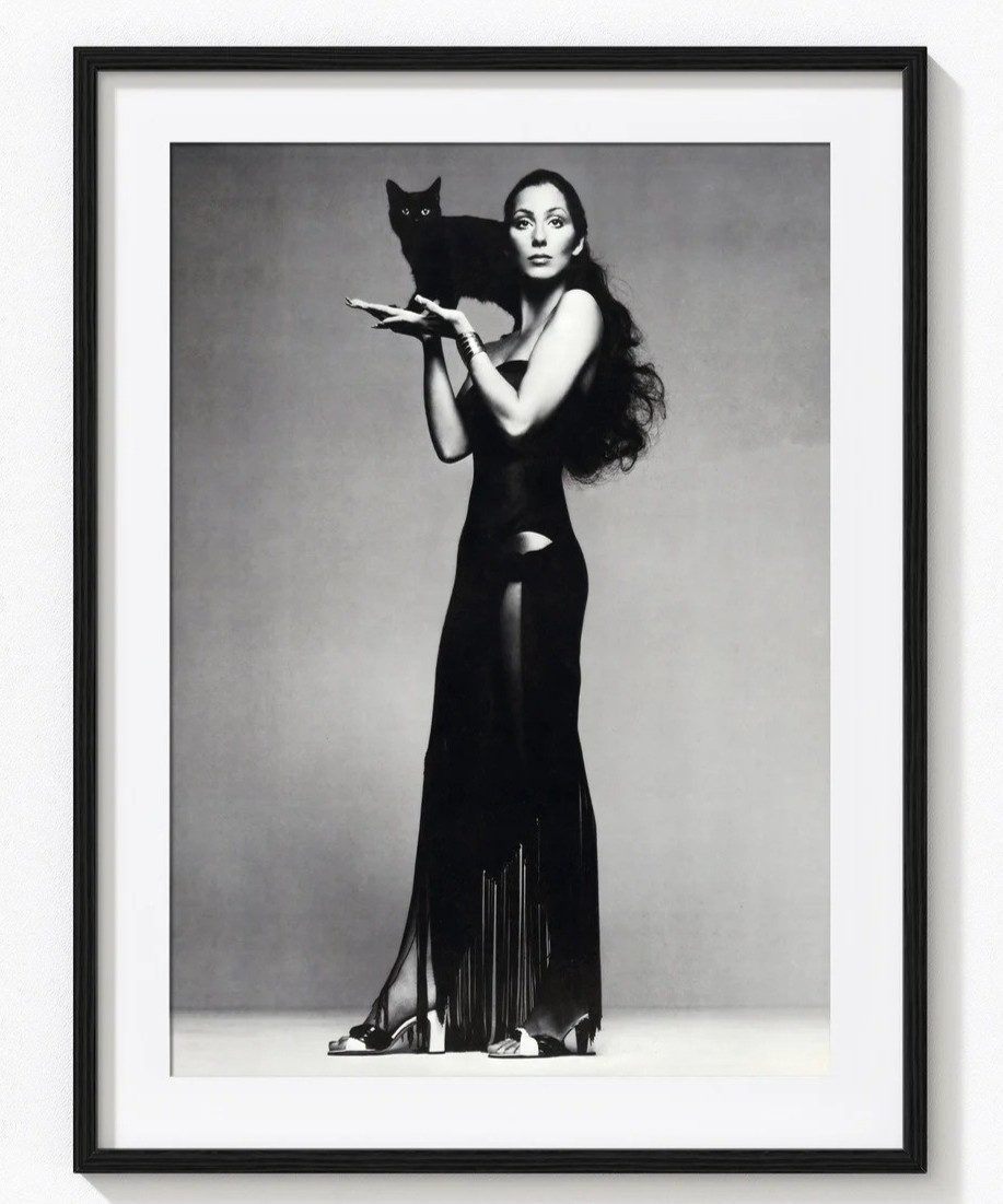 Cher Music Vintage B&W Photo Wall Art Poster Print 24x36 Unframed