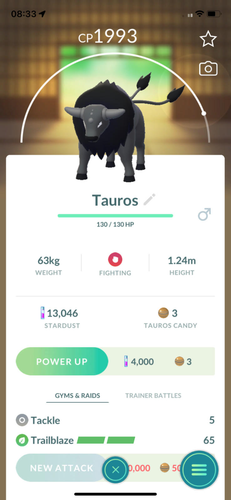Paldean Tauros Combat Breed  Same Day Shippment or Next Day Guaranteed  Go