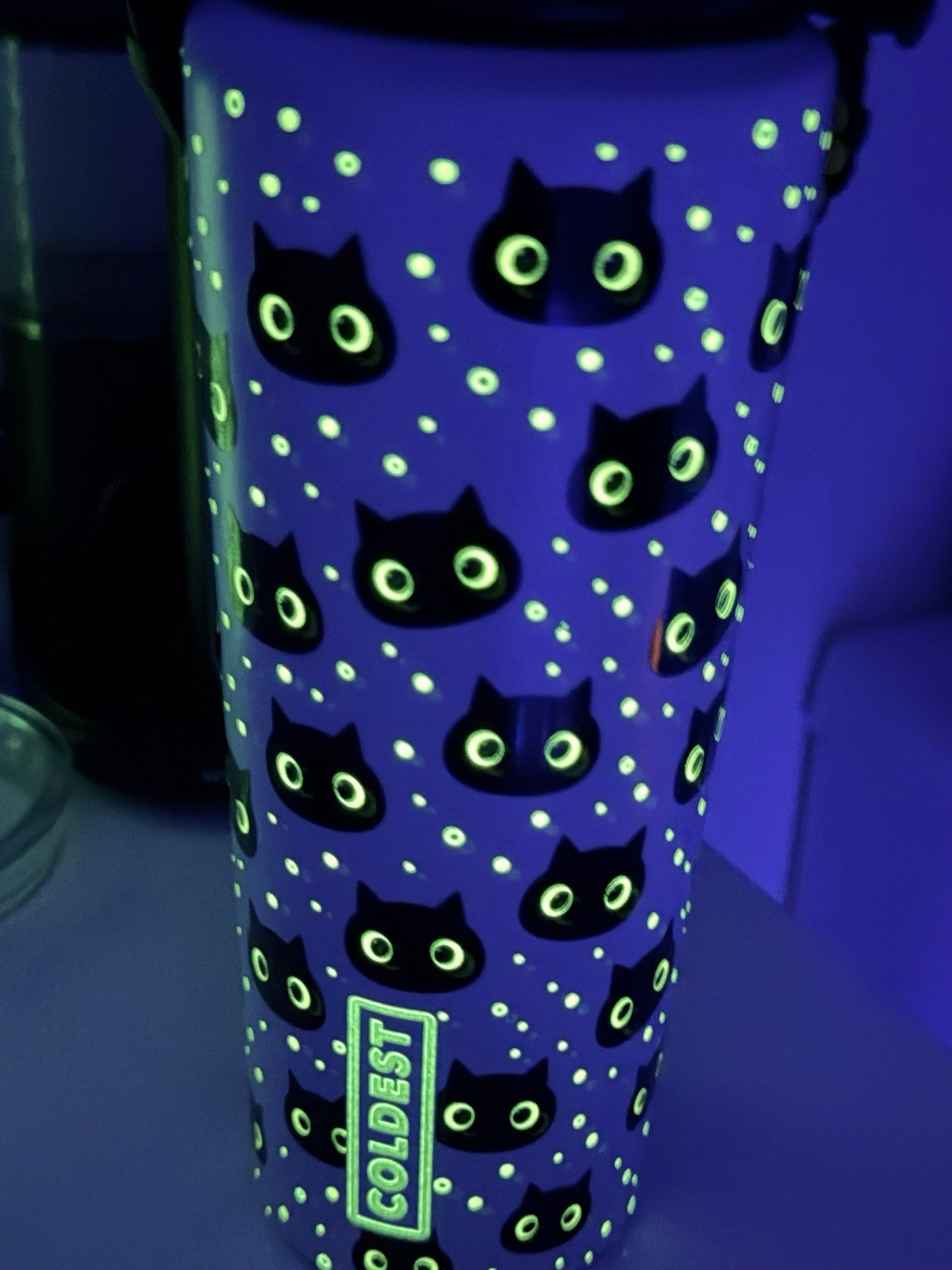 Coldest Meow 24 oz