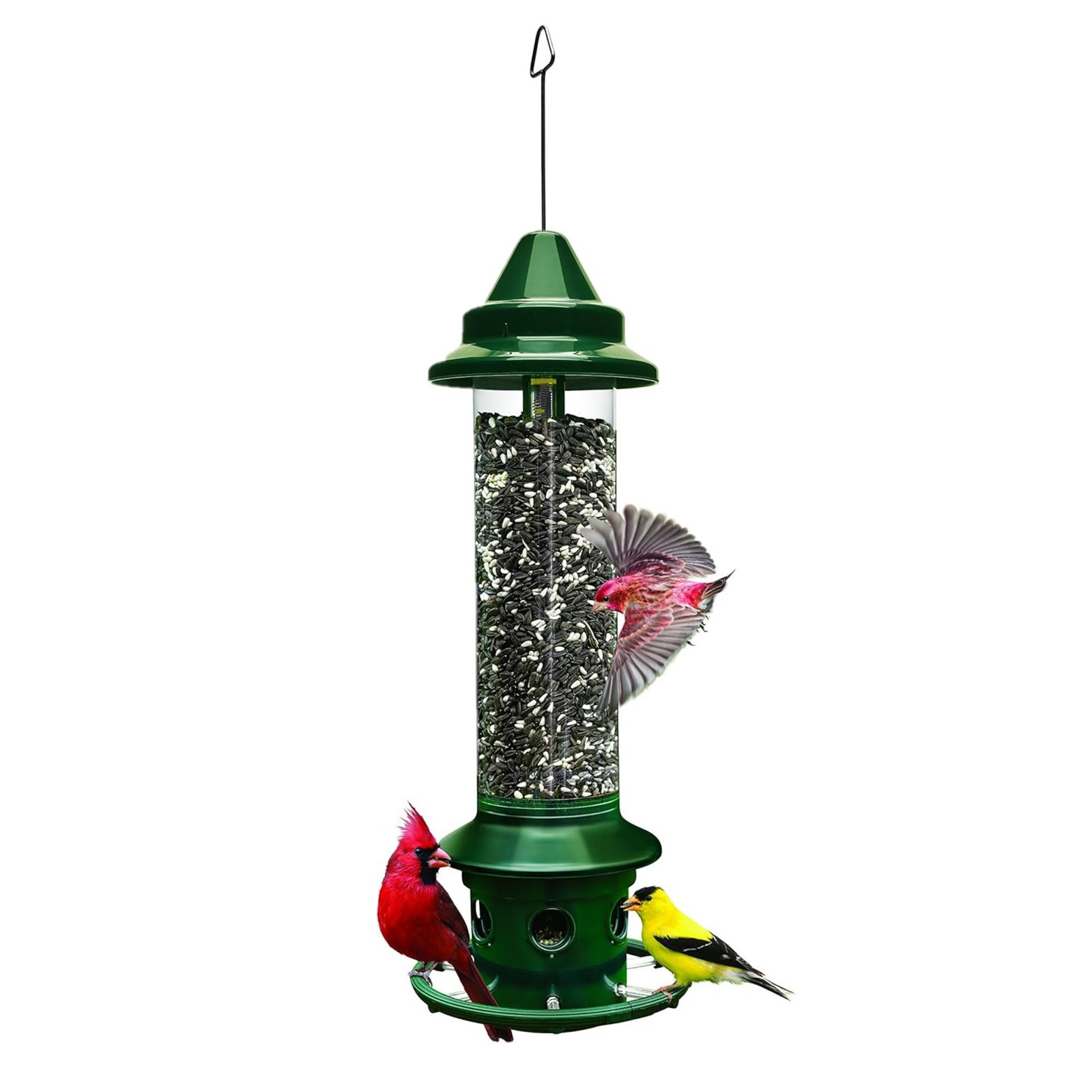 Brome Squirrel Buster Plus Bird Feeder with Perch Ring, 5lb Seed Capacity Brome Squirrel Buster Plus Bird Feeder with Perch Ring, 5lb Seed Capacity