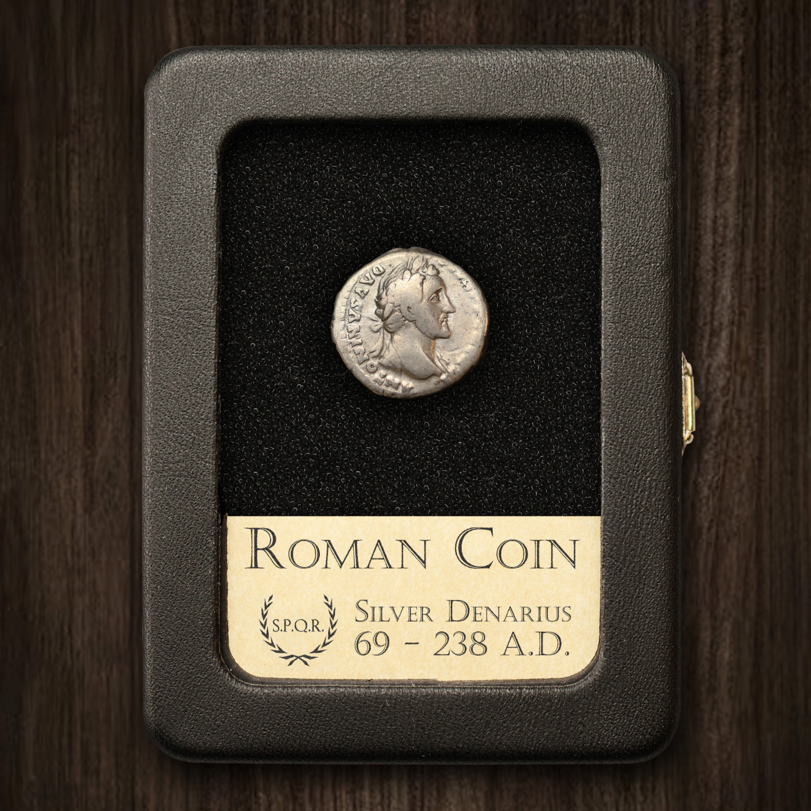 RARE Roman Empire Coin Silver Denarius - HIGH GRADE - With Display Case
