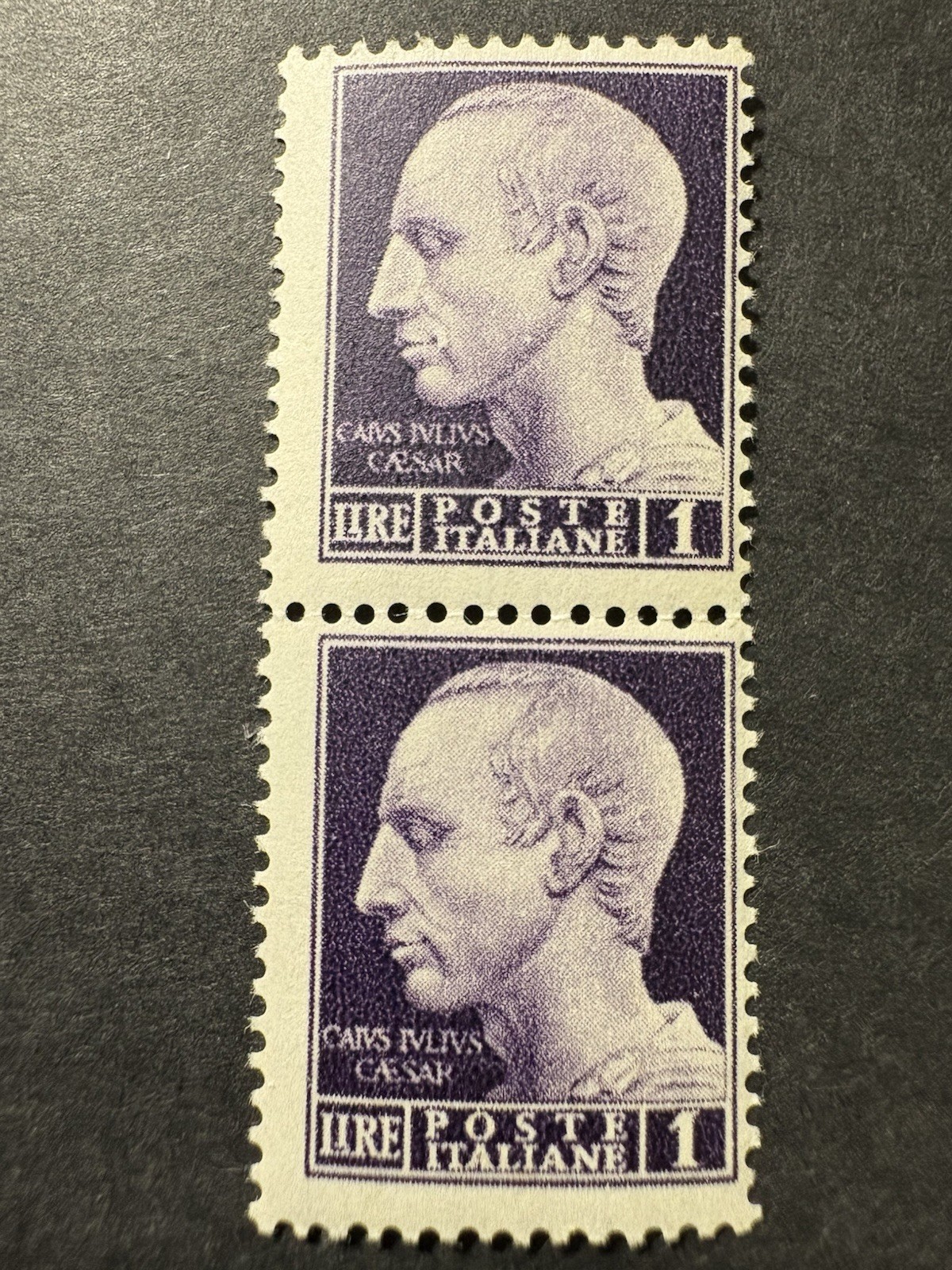 Italy 1942 Julius Caesar Fasces Block Of 2 MNH Italy 1942 Julius Caesar Fasces Block Of 2 MNH