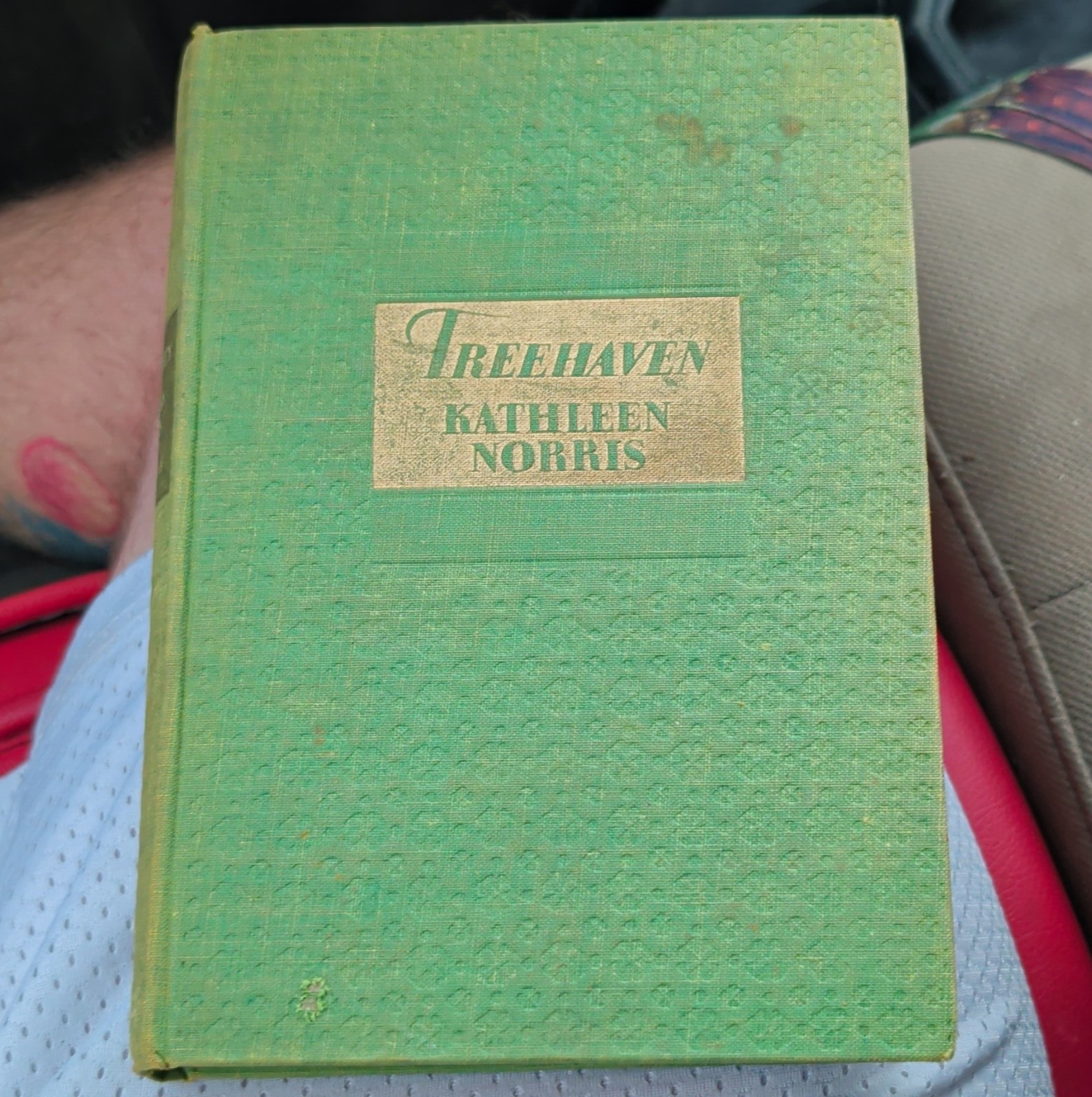 Treehaven Kathleen Norris 1st Edition Hardcover Doubleday Doran 1932 English Treehaven Kathleen Norris 1st Edition Hardcover Doubleday Doran 1932 English