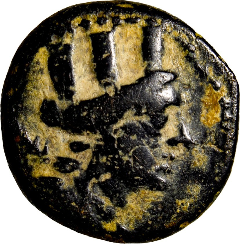 Ancient Phoenician Bronze Coin Sidon Tyche Sea Galley Ship 107 BC VF Ancient Phoenician Bronze Coin Sidon Tyche Sea Galley Ship 107 BC VF