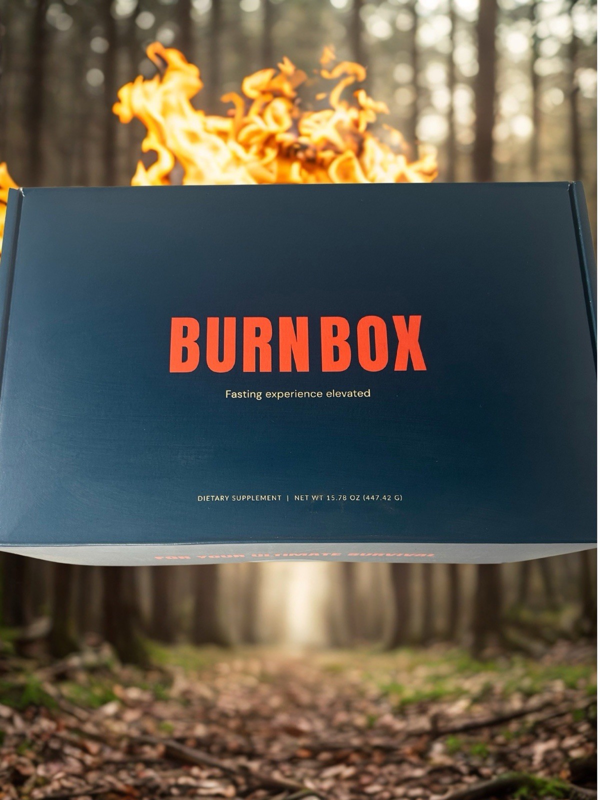 BURNBOX 3 Day Fasting Kit 4X Complete Set 48 Packs Accessories Factory Sealed