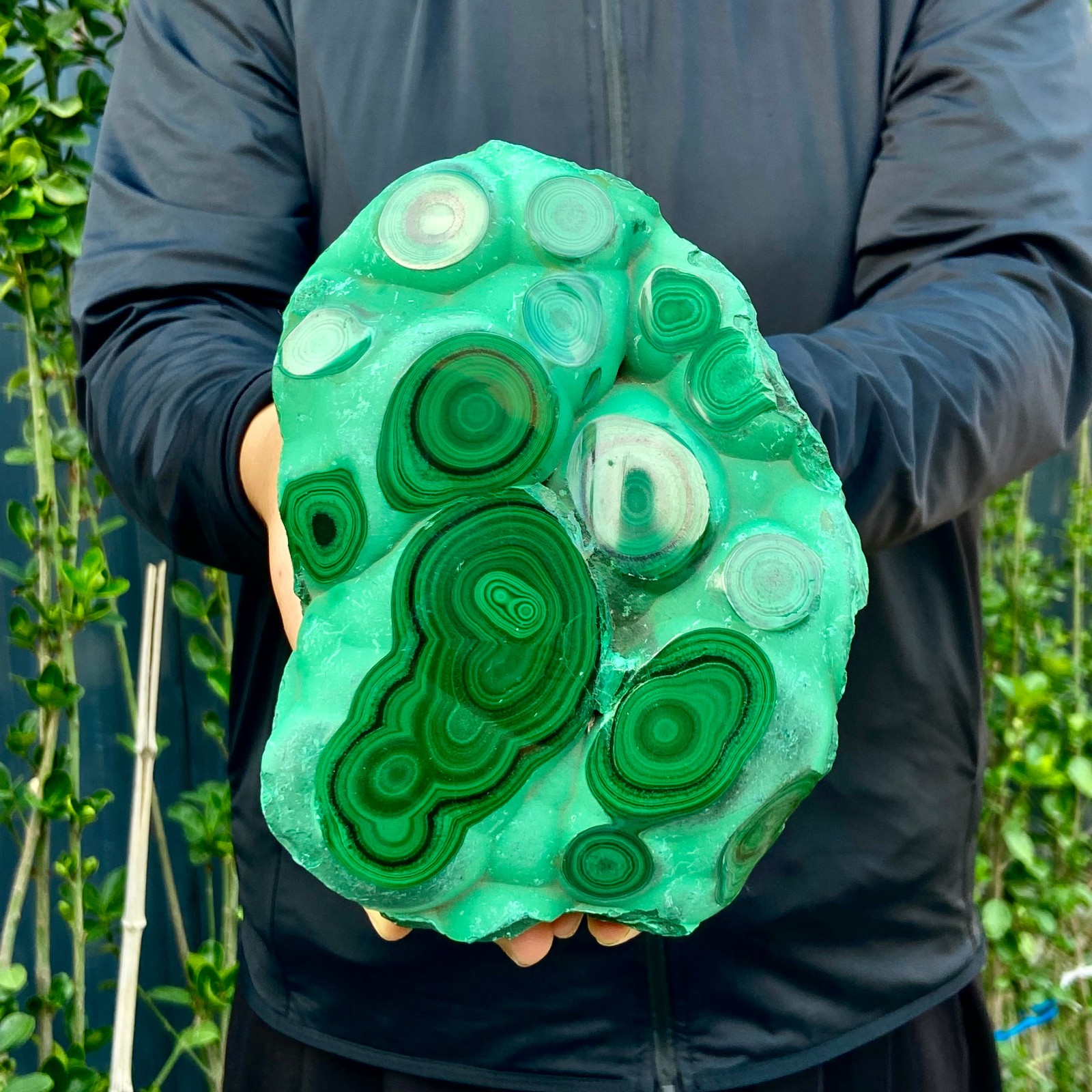 5.03LB Top Natural Polyocular Malachite Quartz Crystal Gloss Mineral Specimen