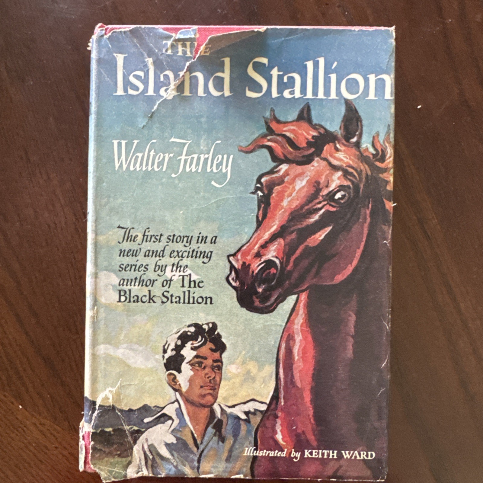 Vintage 1948 THE ISLAND STALLION Walter Farley Hardcover w/DJ Vintage 1948 THE ISLAND STALLION Walter Farley Hardcover w/DJ