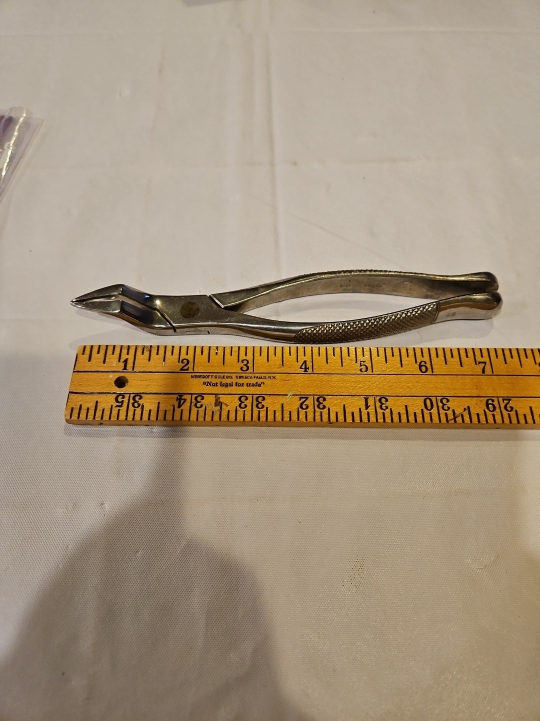 Silco Stainless Steel Dental Forceps #65 Silco Stainless Steel Dental Forceps #65