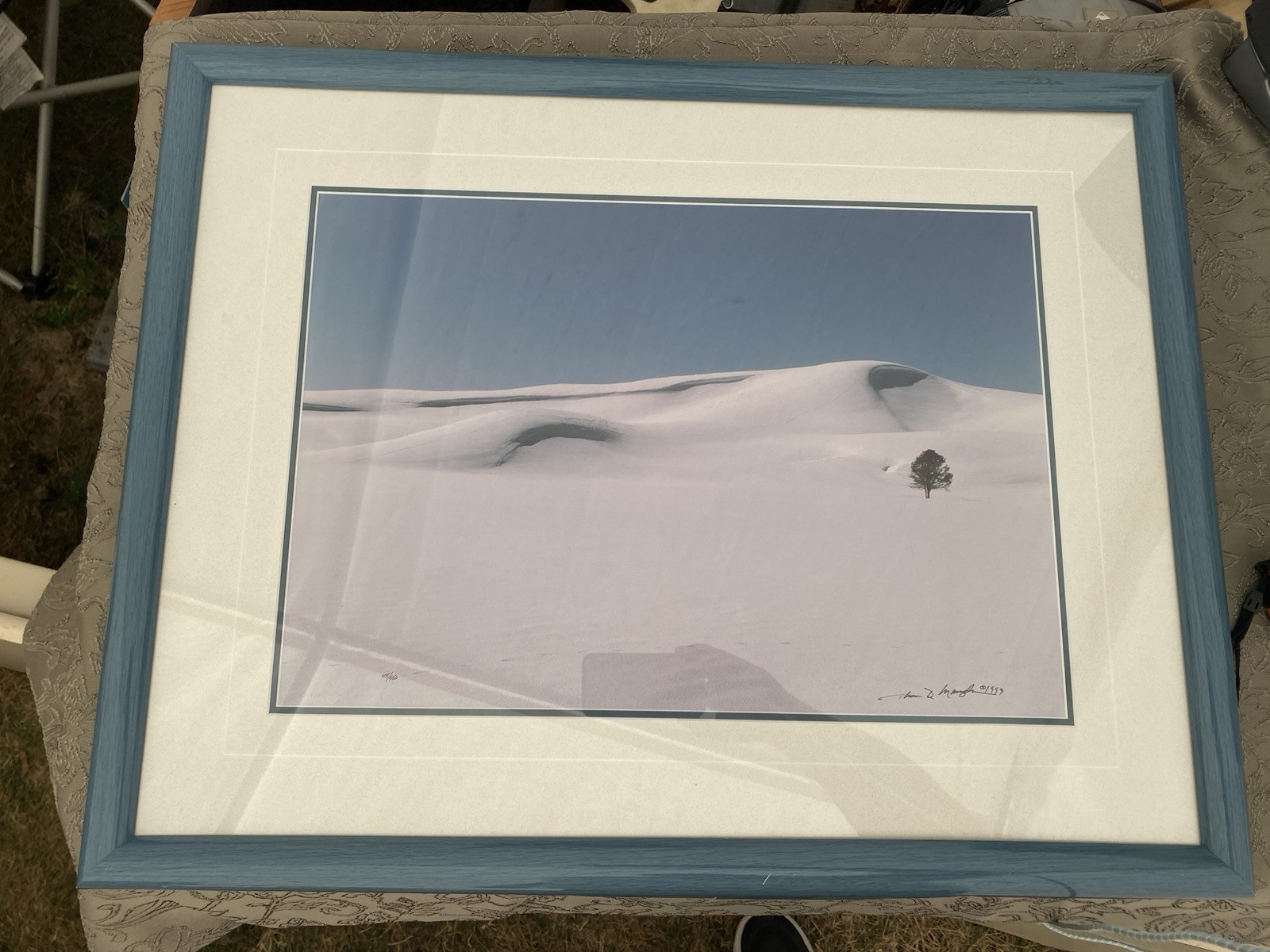 Thomas Mangelsen Signed Photo First Crossing Hayden Valley 45/450 Original Frame