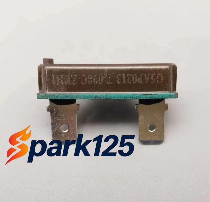 5PCS NEW FOR Thermal fuse G5AP0213 TF098C Encapsulated fuse