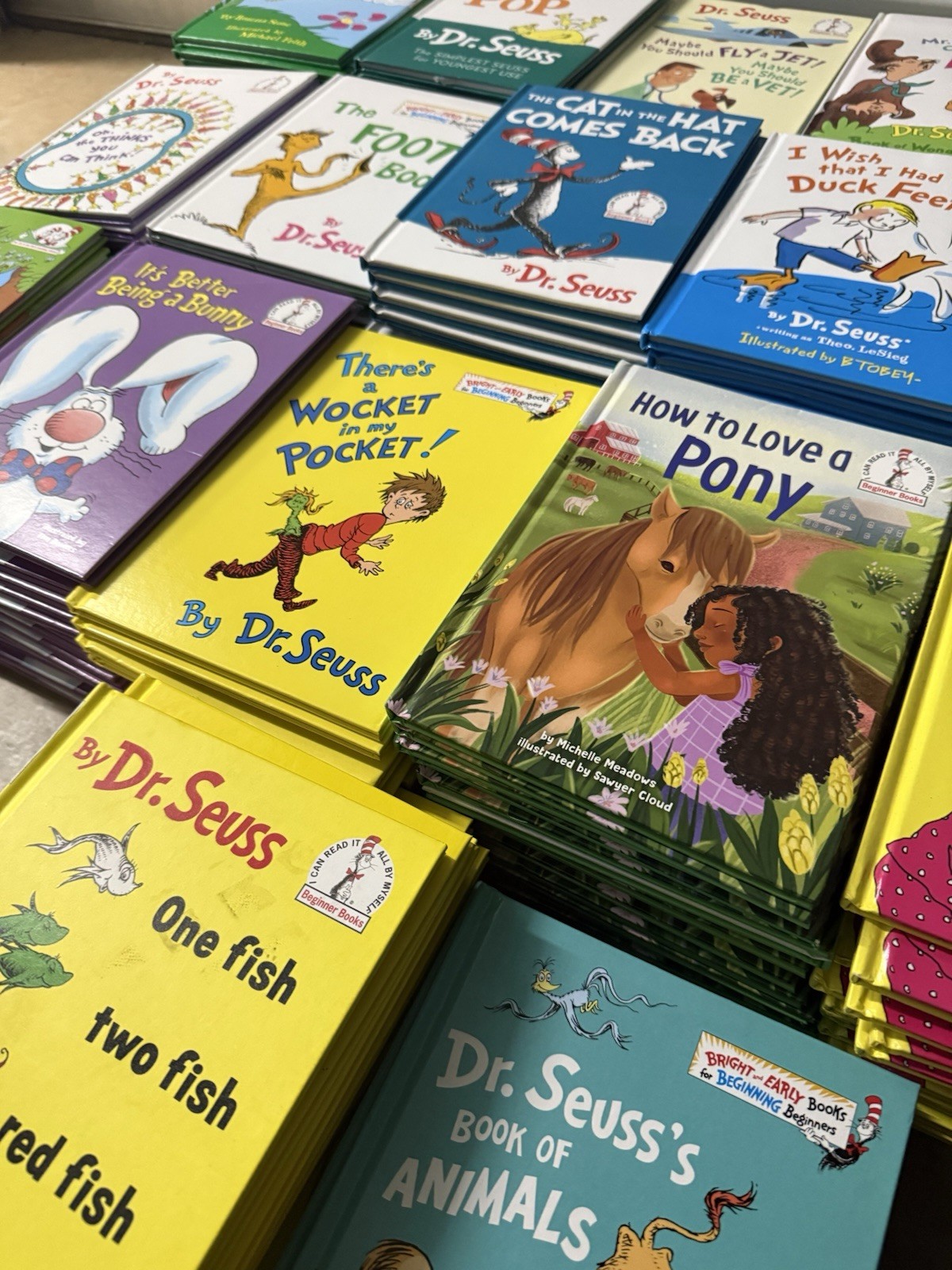 Dr Seuss Lot of 18 Beginner Books All Unique Titles Hardcover  Classroom