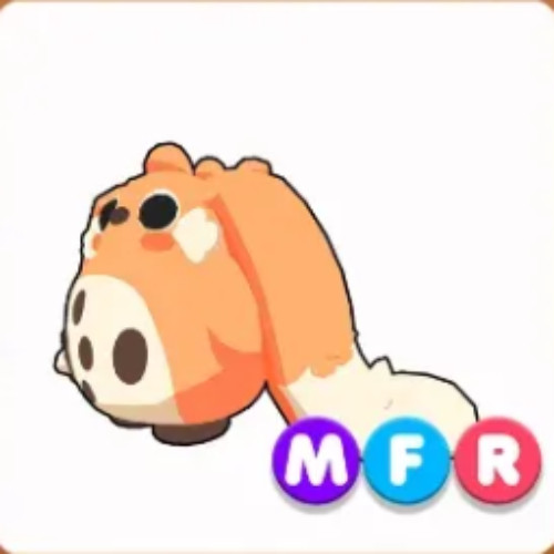 MFR Cabbit add disc @caused6 MFR Cabbit add disc @caused6
