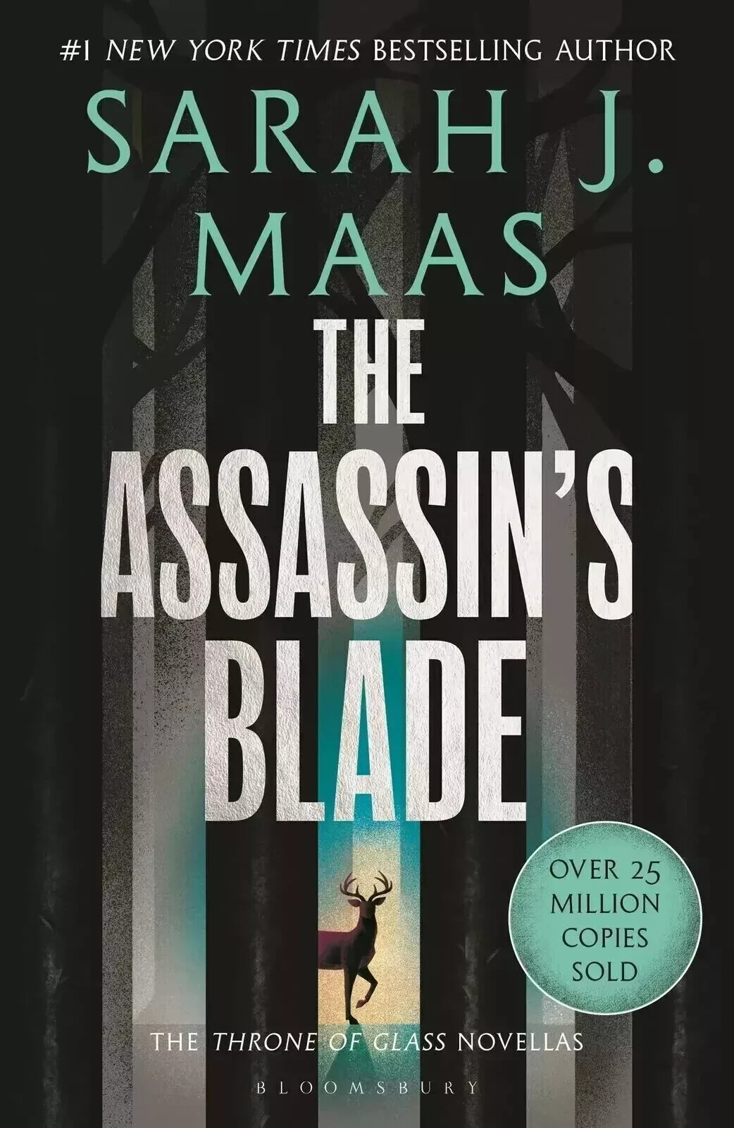 The Assassin\'s Blade by Sarah J Maas (paperback),  in the US