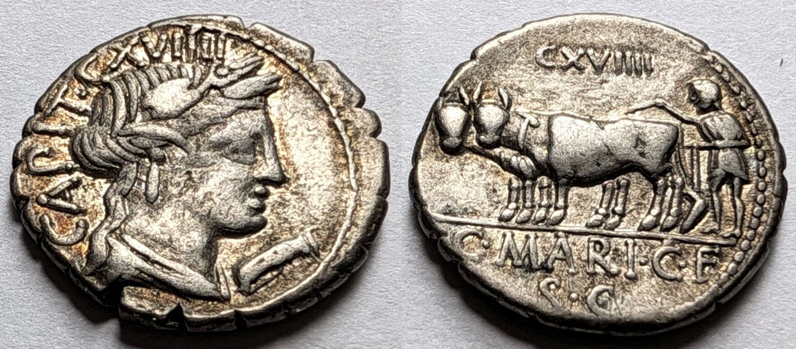 Roman Republic C Marius Capito Silver Denarius Serratus 81 BC Ceres Oxen Plowing