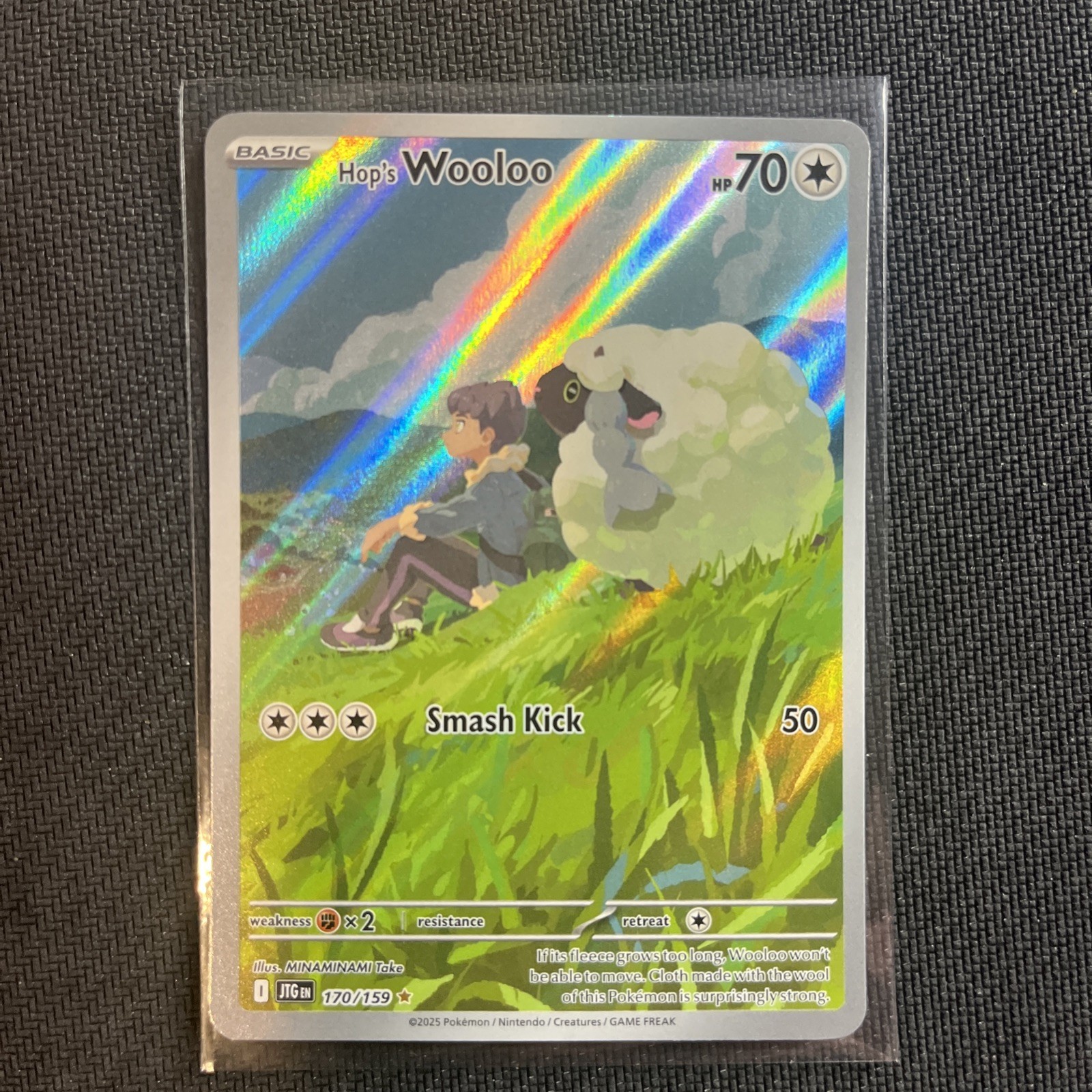 Hop\'s Wooloo 170/159 Sv09: Journey Together Holo