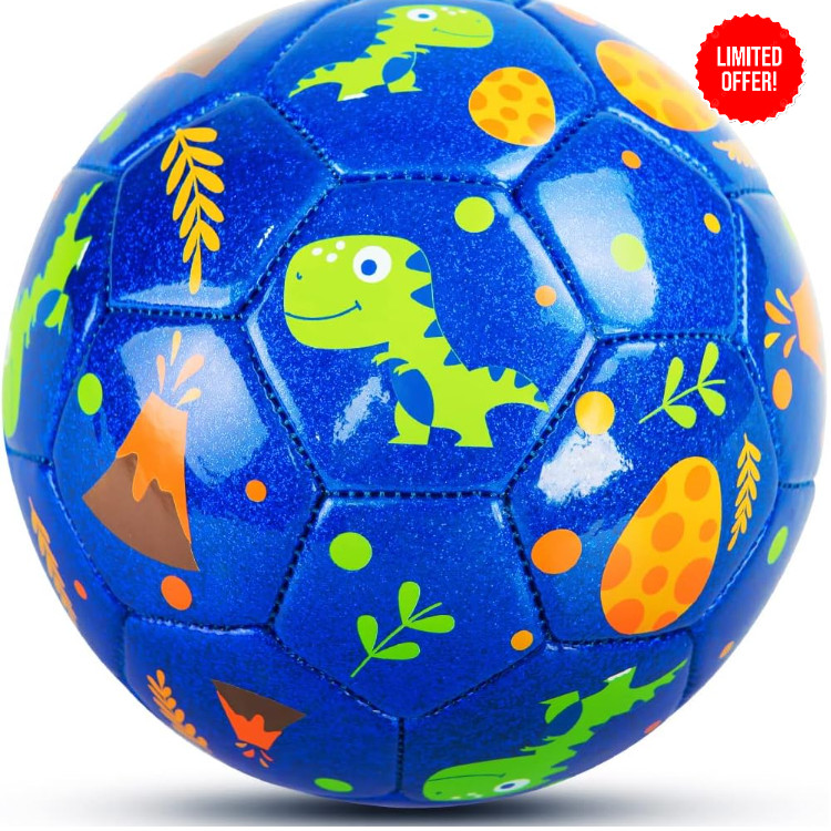 Everich Soccer Ball Glitter Unicorn Dinosaur Inflatable Size 2 3 4 Kids Toddlers Everich Soccer Ball Glitter Unicorn Dinosaur Inflatable Size 2 3 4 Kids Toddlers