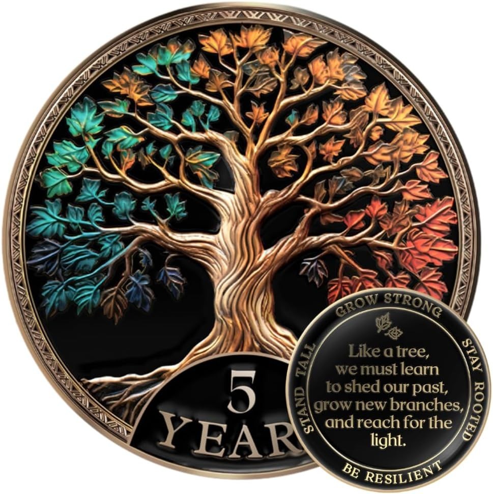 Sobriety Coin Gift Set 5 Year Tree of Life AA Chip with Capsule Stand and Card