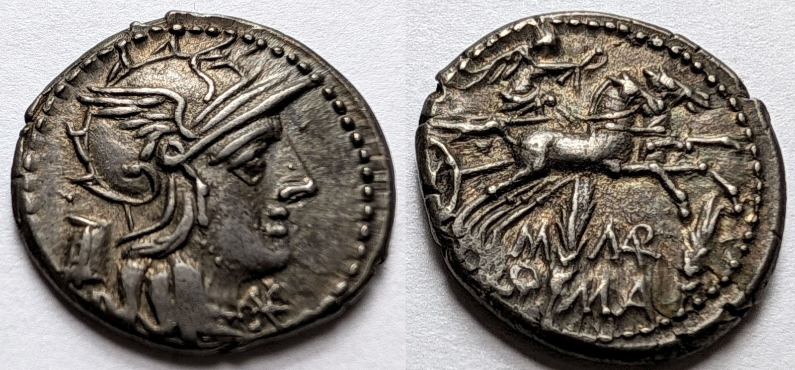 Roman Republic M Marcius Silver Denarius 134 BC Roma Victory Biga BMC 1008