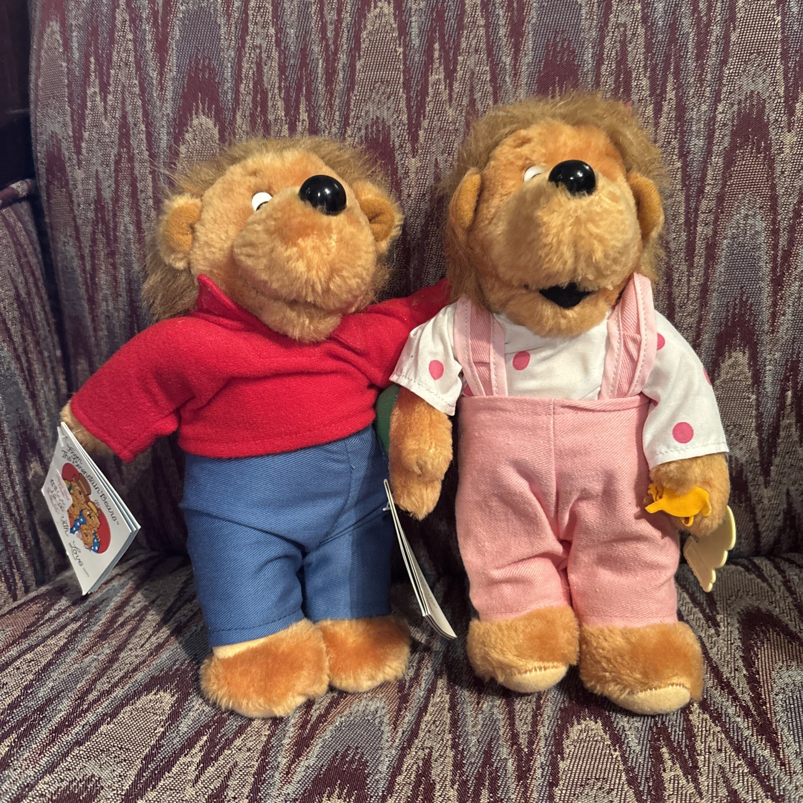 VTG Mattel Emotions 1984 The Berenstain BROTHER  & SISTER Bear 10\